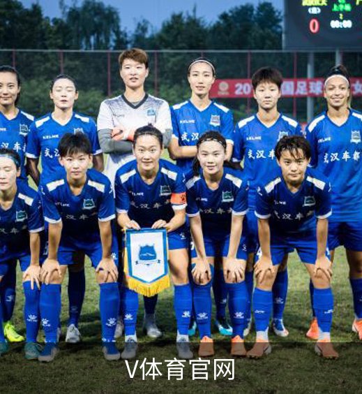 关于V体育官网